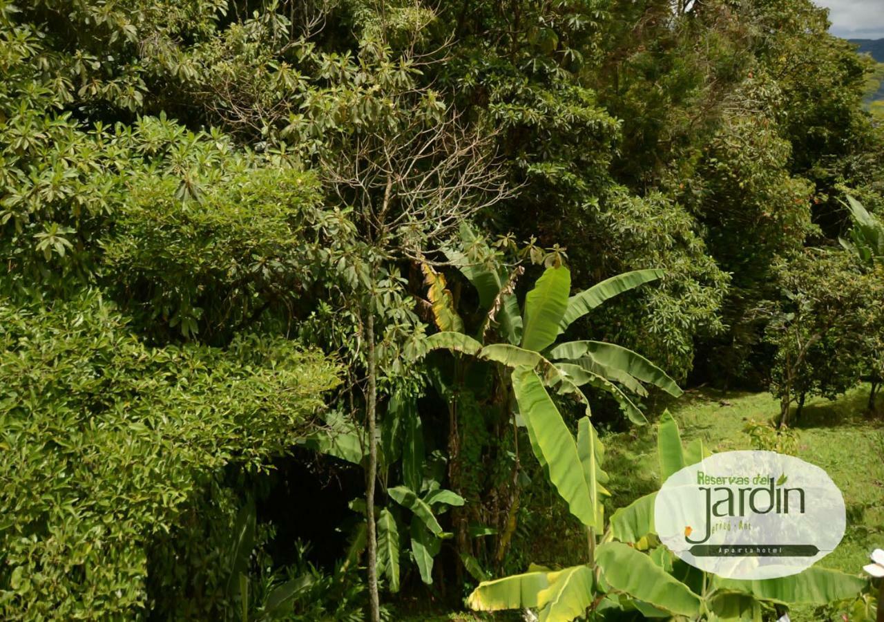 جيريكو Viviendas Turisticas "Reservas Del Jardin" المظهر الخارجي الصورة